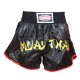 Cyclone Muay Thai Şortu,Desenli Saten Lazer Nakışlı