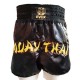 Evox Çocuk Muay Thai Müsabaka Şortu,Desenli Nakışlı,6-13 Yaş